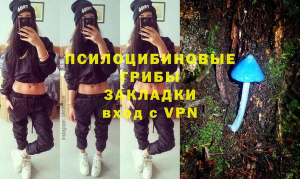ГАЛЛЮЦИНОГЕННЫЕ ГРИБЫ Абинск