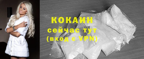 винт Абаза