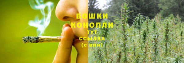 ГАЛЛЮЦИНОГЕННЫЕ ГРИБЫ Абинск